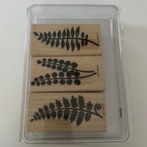 Stampin’ Up Definitely Decorative Ferns Wood Stamp Set
